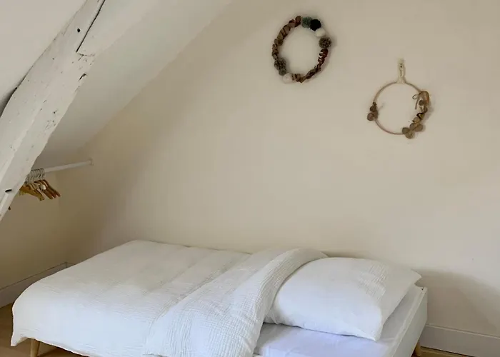 Hyper Centre Grand Plein De Charme Angers